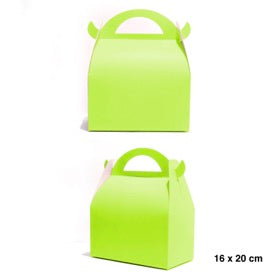 CAJA GRANDE CON MANILLA X 6 Colores Pistacho