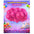 Globo 9" Colores Sólidos x10 - Globos de Látex para Decoración